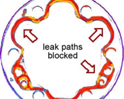 High Pressure Analysis With Leak Paths Blocked